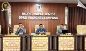 7583c7c1-a8a2-4684-a952-f234b012b13c