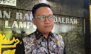 image_750x_67753a03aaa7a